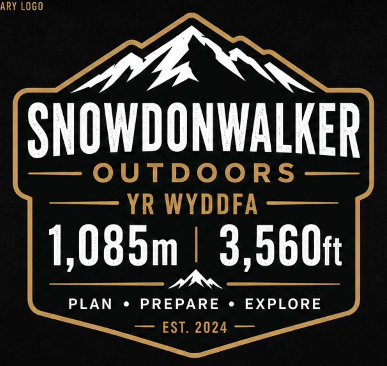 Snowdon Walker community image 6